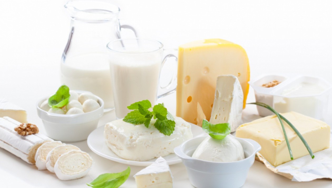 منتجات الألبان مهمة في تغذية جسمك