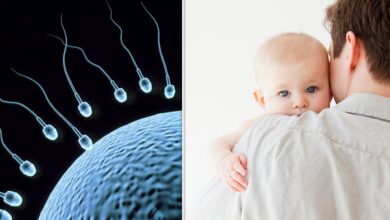 البلاستيك يؤدي إلى العقم