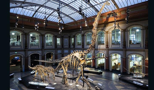 أكبر متحف للديناصورات