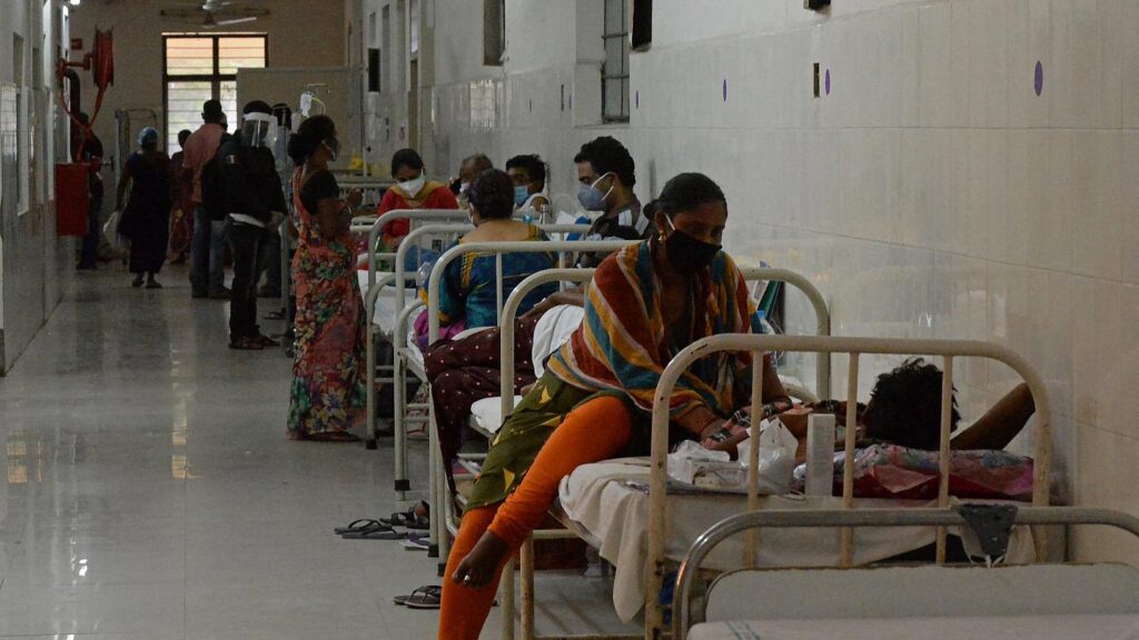 ظهور الفطر الأصفر في الهند