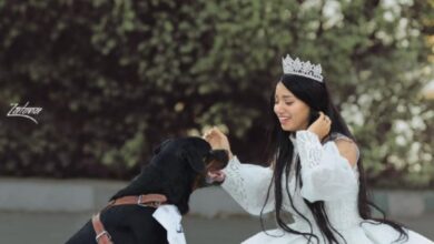 فتاة مصرية تعلن زواجها من كلب