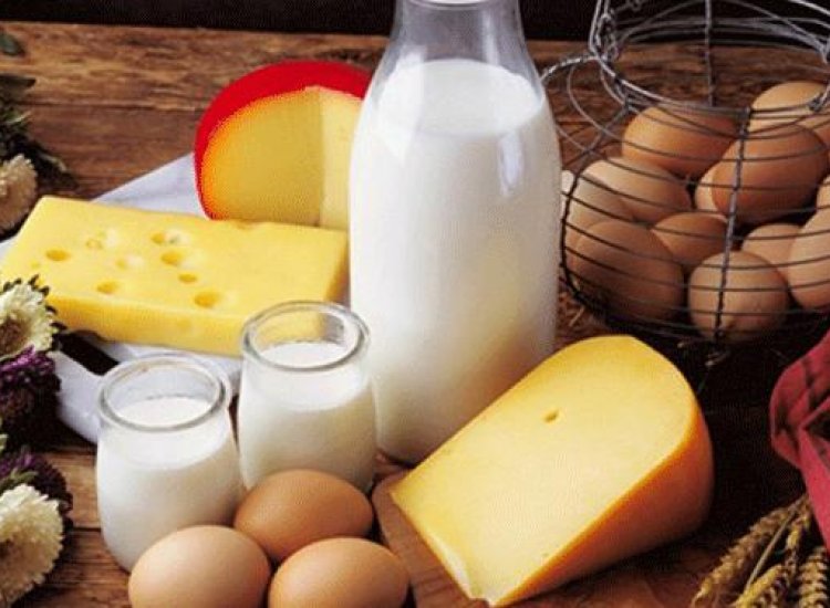 منتجات الألبان