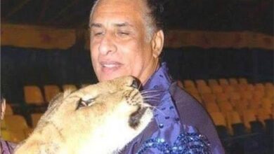 مدرب الأسود