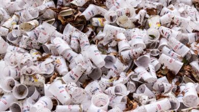 الأكواب الورقية