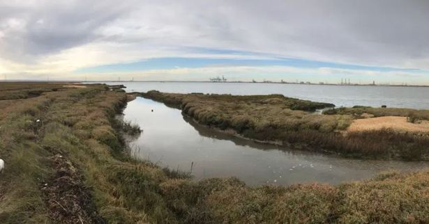 صور من الجزيرة