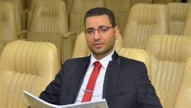 مهندس الدقهلية