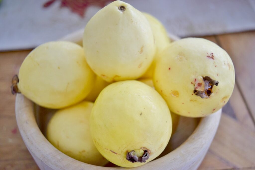 الجوافة