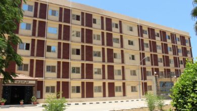 بيوت المغتربين