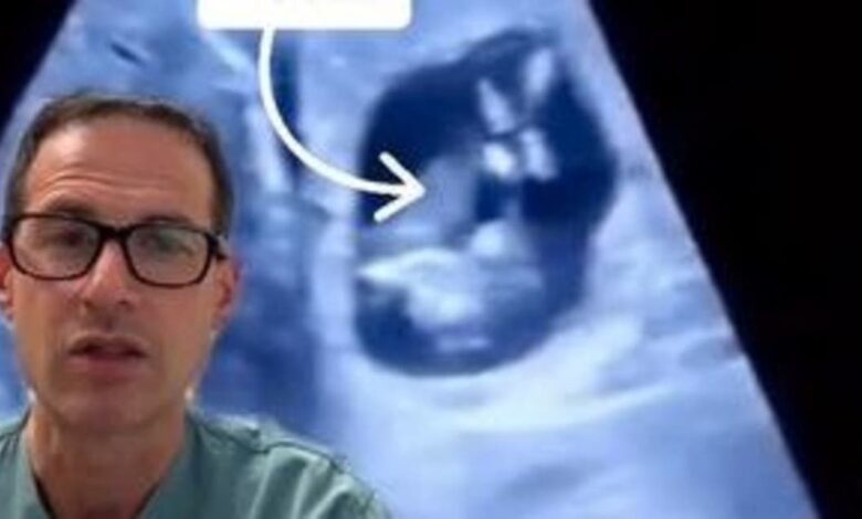 نمو جنين خارج رحم الأم