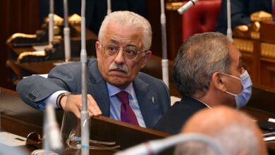 د.طارق شوقي