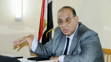 طلعت عبد القوى