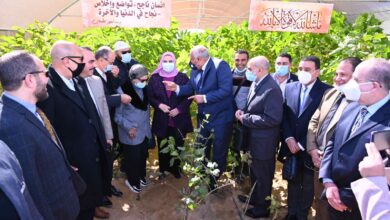 «القباج» تفتتح عددًا من المشروعات التنموية