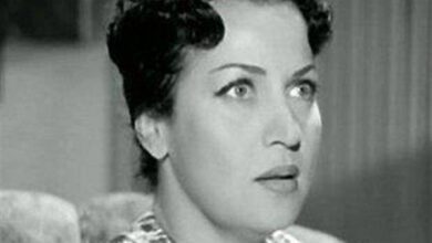 الفنانة أميرة أمير