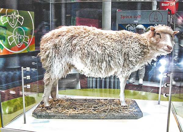  أمريكي جمّد 183 حيوانًا 