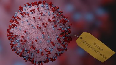 فيروس جديد يصيب الأطفال